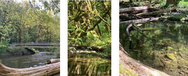 Photo credits: Federica Liberti